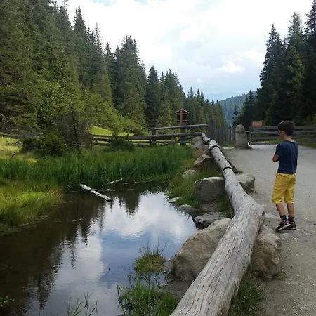 Δωμάτια σε οικογενειακή κατοικία Bijou Mieders