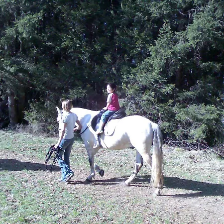 Δωμάτια σε οικογενειακή κατοικία Bijou Mieders